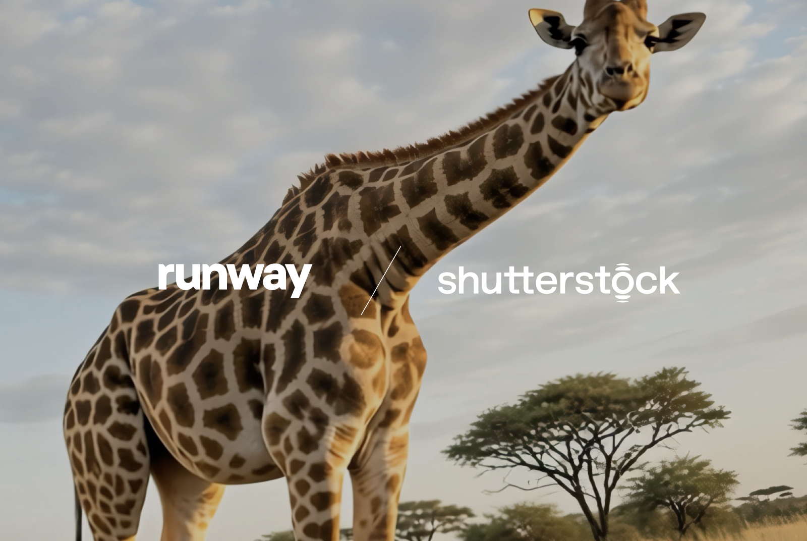 How Shutterstock and Runway are Transforming the Future of Creative Content