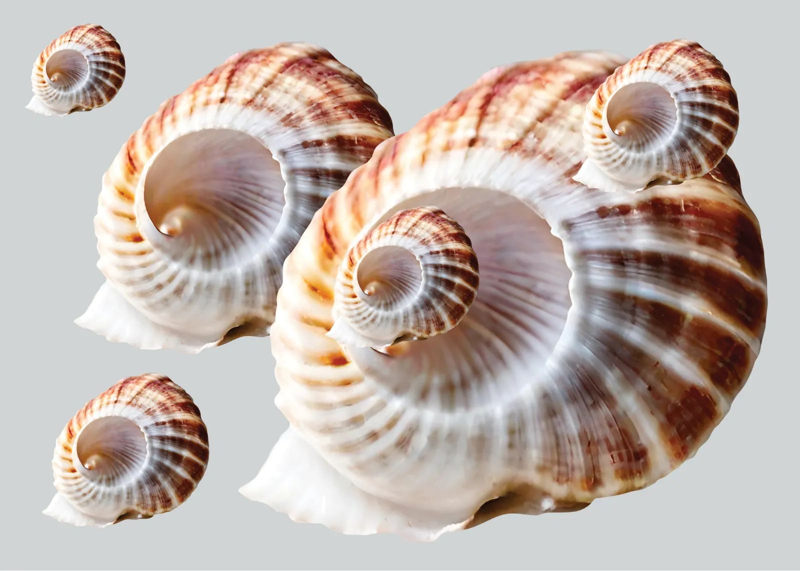 Scale, Speed and Stepping Stones: The path to Gen-2