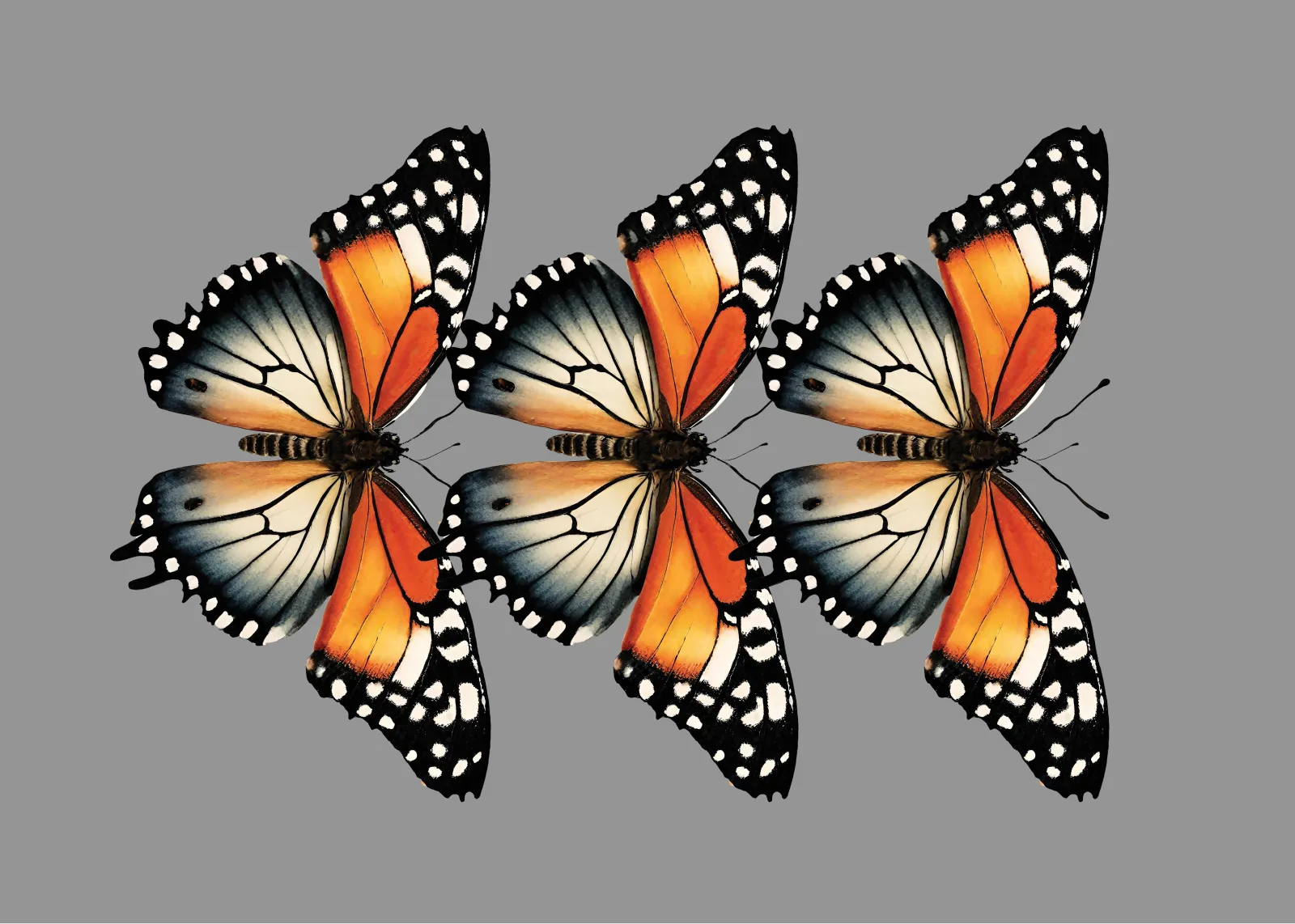 Mitigating stereotypical biases in text to image generative systems